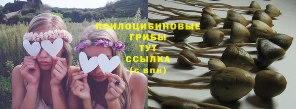а пвп мука Алексеевка