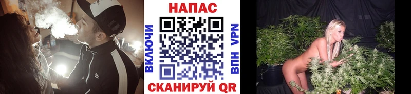 Шишки марихуана конопля  наркота  Кореновск 